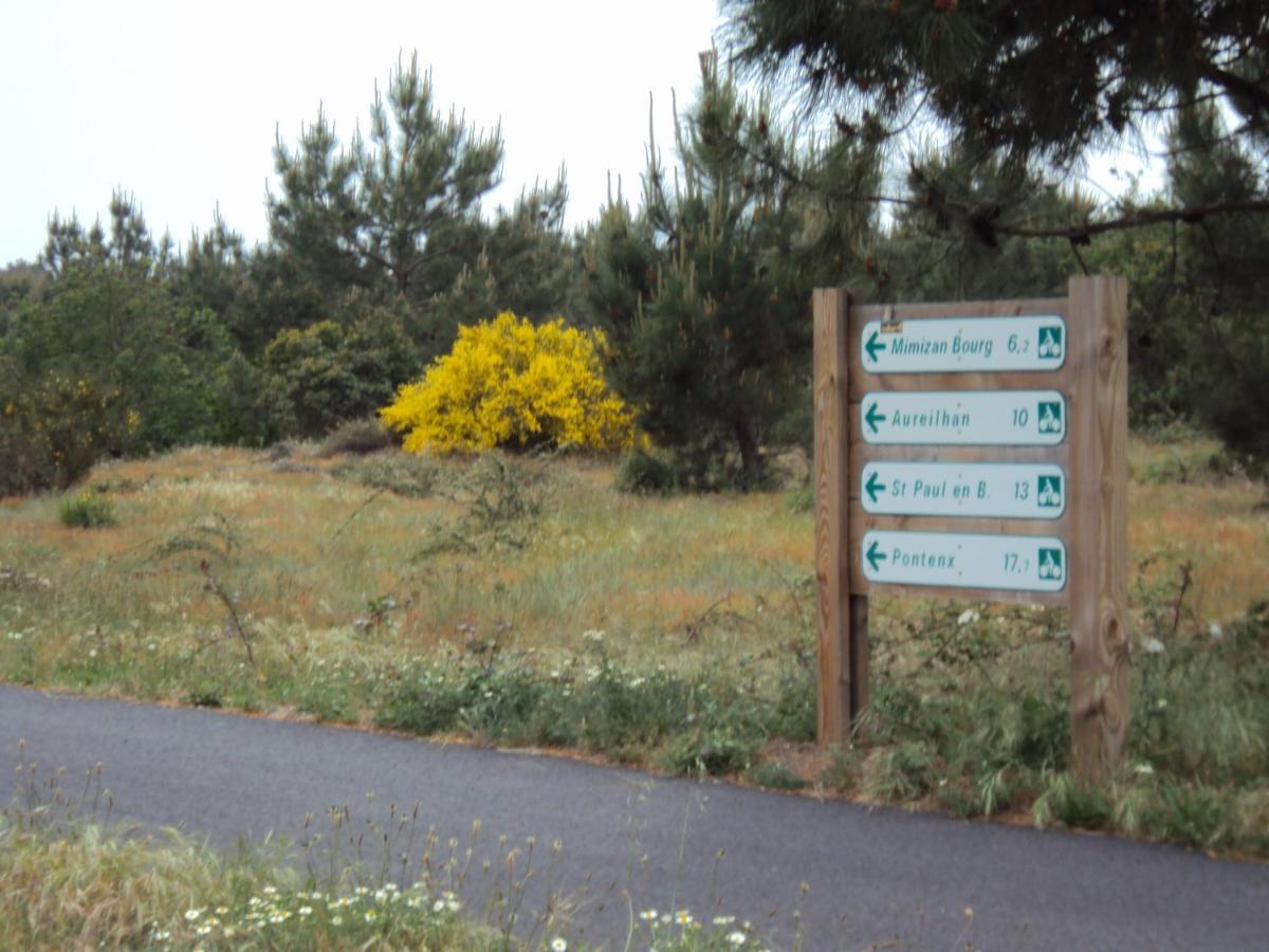 Sainte-Eulalie-en-Born La Villa Landaise מראה חיצוני תמונה